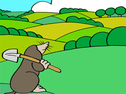 portfolio-post